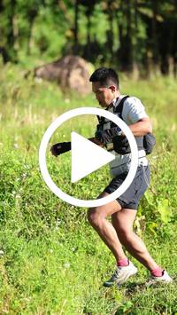 BIB:  <button type="button" onclick="openModal(26565587)" class="btn btn-primary btn-sm float-right" data-toggle="modal" data-target=".modal-high-quality">
                <i class="fa fa-download"></i> Download
                </button>